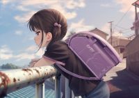 25061 KB