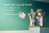1076 KB