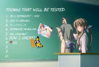 1143 KB