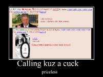 131.53 KB