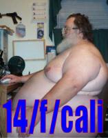 49.09 KB