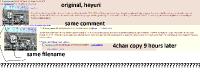233.6 KB