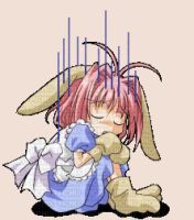 16 KB