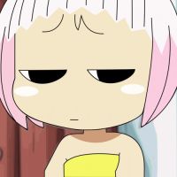 40491