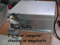 135 KB