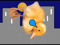 10 KB