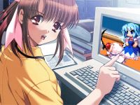 293 KB