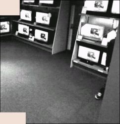 2177 KB