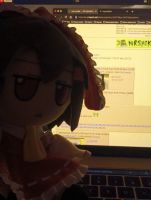 1675 KB