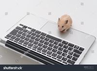 396 KB