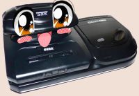 891 KB
