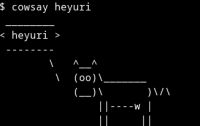 5 KB