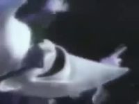 29140 KB