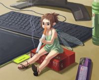 2774 KB