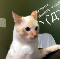 108 KB