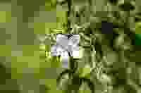 1 KB