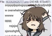 51 KB