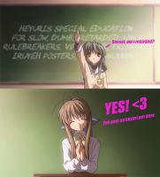 554 KB
