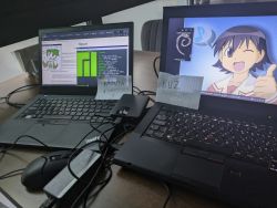 509 KB
