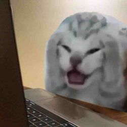 11 KB