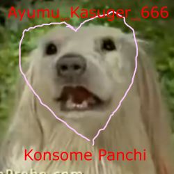 1250 KB
