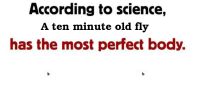90 KB