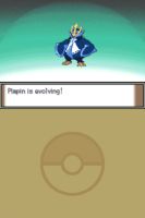 81923