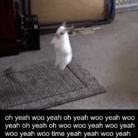 56160