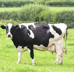 980369