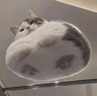 26848