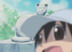 62435