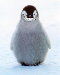 25354