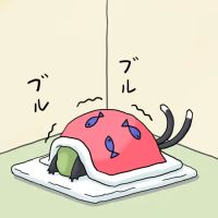 148251