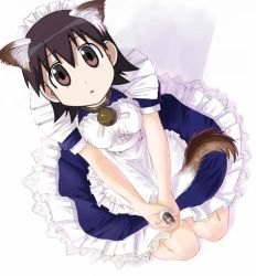 81288