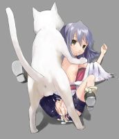 491593