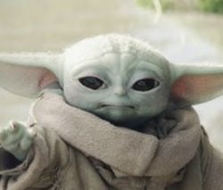 27173