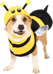 65150