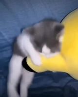 786357