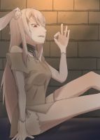 1243614