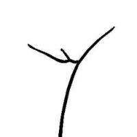 3426