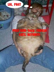 242671