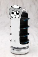62552