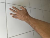 2618060