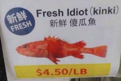 53735
