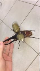 2553817