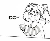 45529