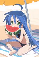 2839694