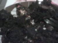 1358828