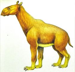 166938