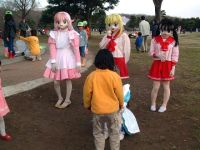 86242